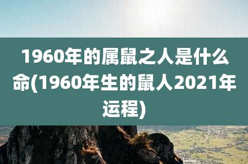 1960年的属鼠之人是什么命(1960年生的鼠人2021年运程)