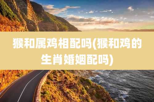 猴和属鸡相配吗(猴和鸡的生肖婚姻配吗)