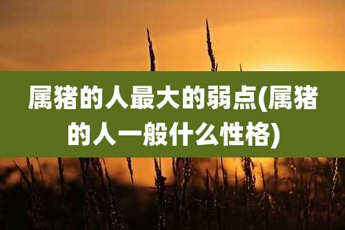 属猪的人最大的弱点(属猪的人一般什么性格)