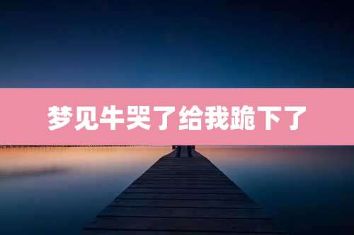 梦见牛哭了给我跪下了