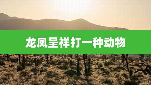 龙凤呈祥打一种动物