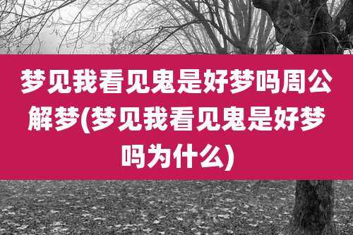 梦见我看见鬼是好梦吗周公解梦(梦见我看见鬼是好梦吗为什么)