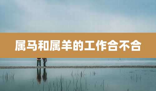 属马和属羊的工作合不合