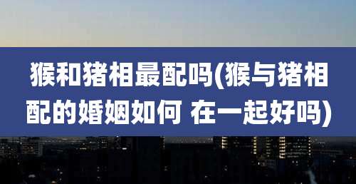 猴和猪相最配吗(猴与猪相配的婚姻如何 在一起好吗)