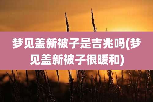 梦见盖新被子是吉兆吗(梦见盖新被子很暖和)