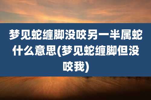 梦见蛇缠脚没咬另一半属蛇什么意思(梦见蛇缠脚但没咬我)