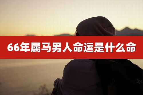 66年属马男人命运是什么命