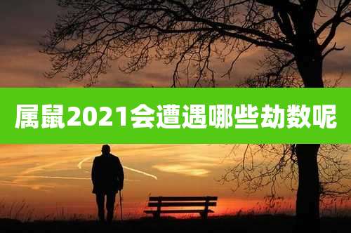 属鼠2021会遭遇哪些劫数呢