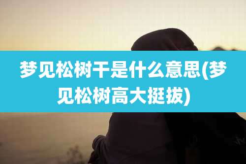 梦见松树干是什么意思(梦见松树高大挺拔)
