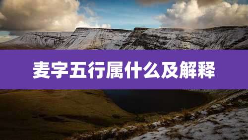 麦字五行属什么及解释