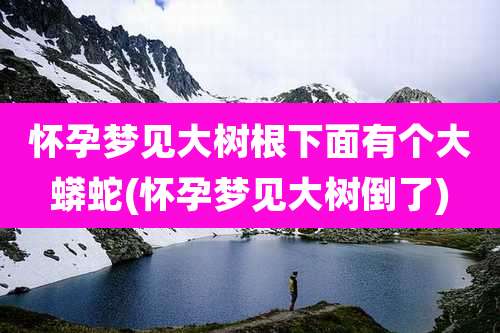 怀孕梦见大树根下面有个大蟒蛇(怀孕梦见大树倒了)