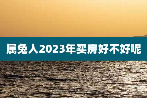属兔人2023年买房好不好呢