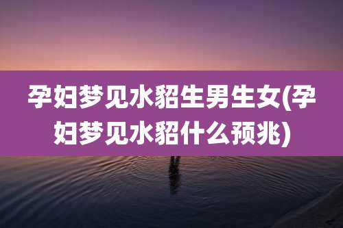 孕妇梦见水貂生男生女(孕妇梦见水貂什么预兆)