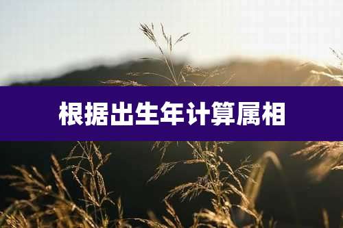 根据出生年计算属相