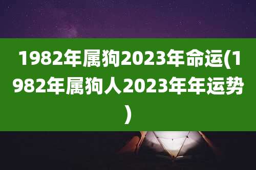 1982年属狗2023年命运(1982年属狗人2023年年运势)