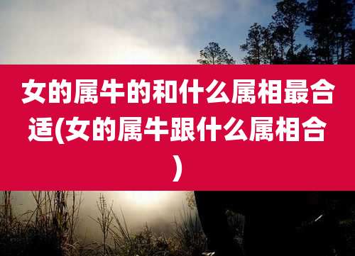 女的属牛的和什么属相最合适(女的属牛跟什么属相合)