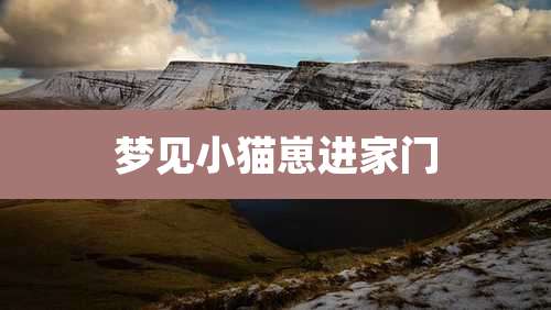 梦见小猫崽进家门