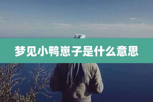 梦见小鸭崽子是什么意思