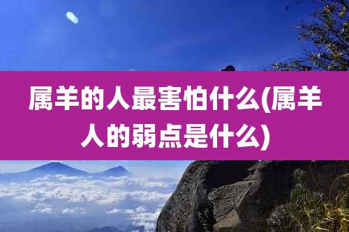 属羊的人最害怕什么(属羊人的弱点是什么)