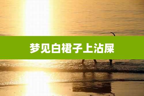 梦见白裙子上沾屎