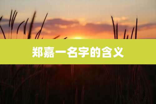 郑嘉一名字的含义