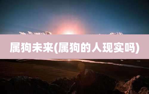 属狗未来(属狗的人现实吗)