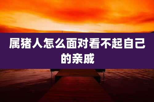 属猪人怎么面对看不起自己的亲戚