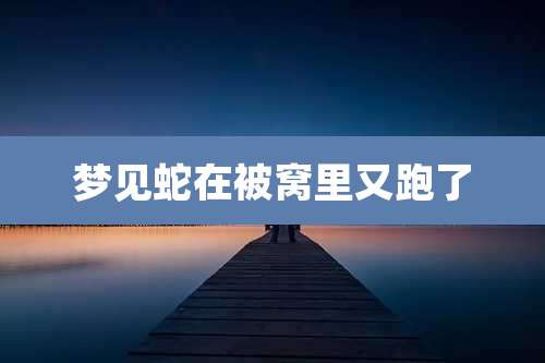 梦见蛇在被窝里又跑了