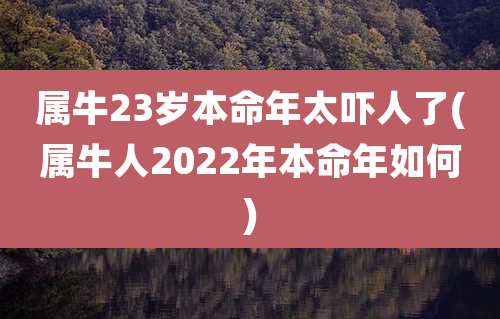 属牛23岁本命年太吓人了(属牛人2022年本命年如何)