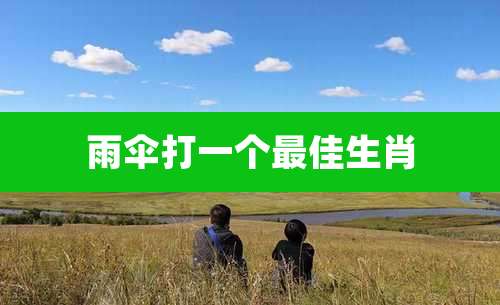 雨伞打一个最佳生肖