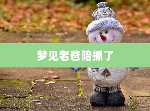 梦见老爸陪抓了