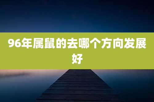 96年属鼠的去哪个方向发展好