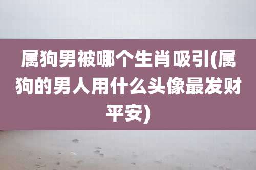 属狗男被哪个生肖吸引(属狗的男人用什么头像最发财平安)