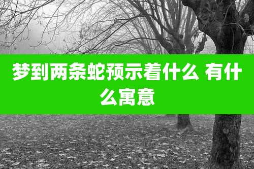 梦到两条蛇预示着什么 有什么寓意