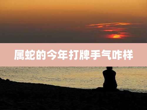 属蛇的今年打牌手气咋样