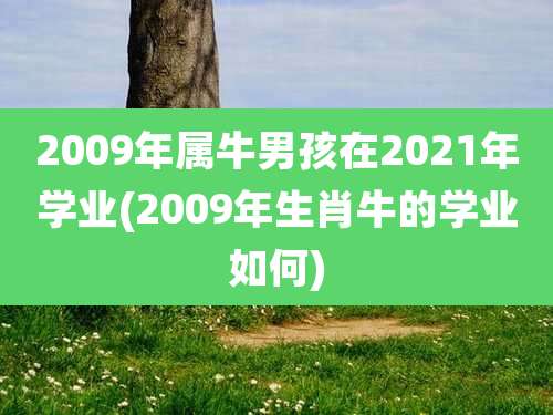2009年属牛男孩在2021年学业(2009年生肖牛的学业如何)