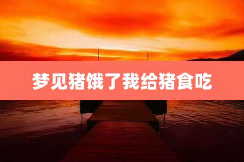 梦见猪饿了我给猪食吃