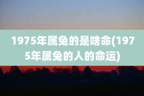 1975年属兔的是啥命(1975年属兔的人的命运)