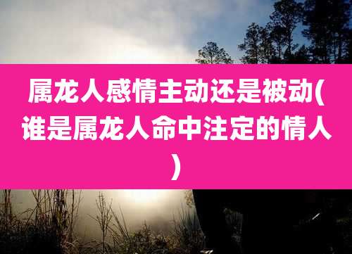 属龙人感情主动还是被动(谁是属龙人命中注定的情人)