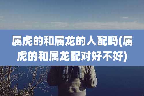 属虎的和属龙的人配吗(属虎的和属龙配对好不好)