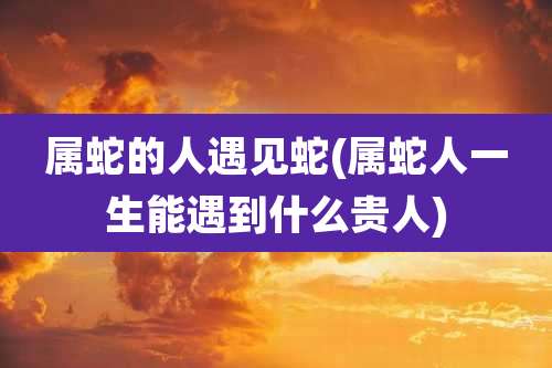 属蛇的人遇见蛇(属蛇人一生能遇到什么贵人)