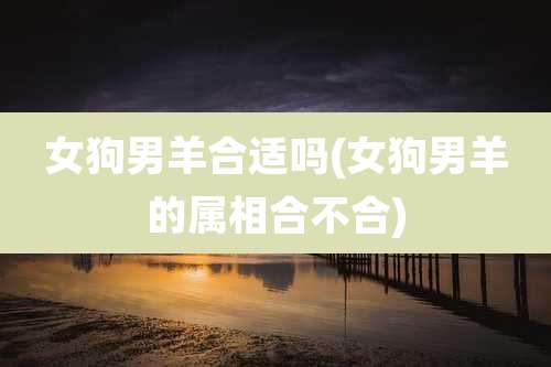 女狗男羊合适吗(女狗男羊的属相合不合)