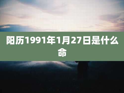 阳历1991年1月27日是什么命