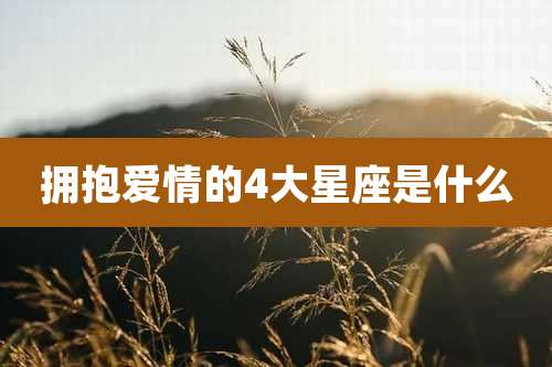 拥抱爱情的4大星座是什么
