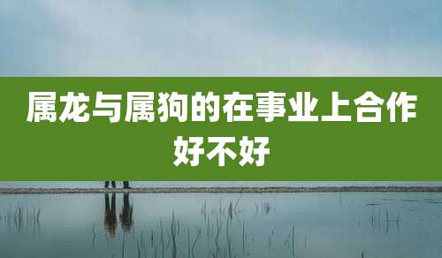 属龙与属狗的在事业上合作好不好