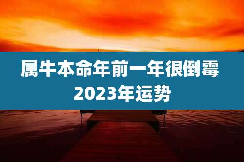 属牛本命年前一年很倒霉 2023年运势