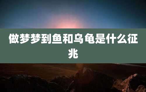 做梦梦到鱼和乌龟是什么征兆