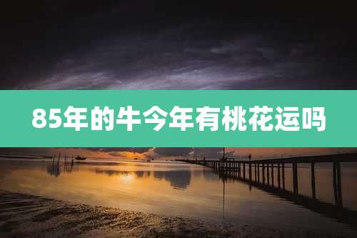 85年的牛今年有桃花运吗
