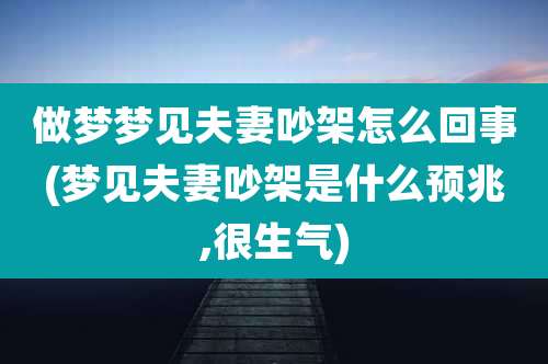 做梦梦见夫妻吵架怎么回事(梦见夫妻吵架是什么预兆,很生气)
