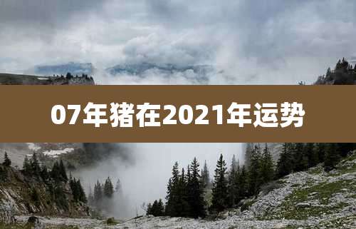 07年猪在2021年运势